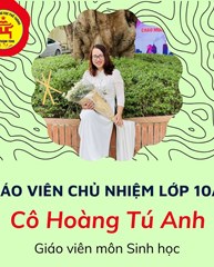 Giới thiệu về các thầy cô chủ nhiệm lớp 10 năm học 2023-2024