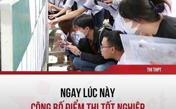 Chính thức công bố điểm thi tốt nghiệp THPT năm 2023